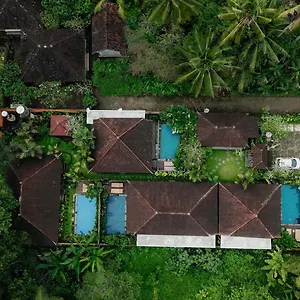Zone Villa